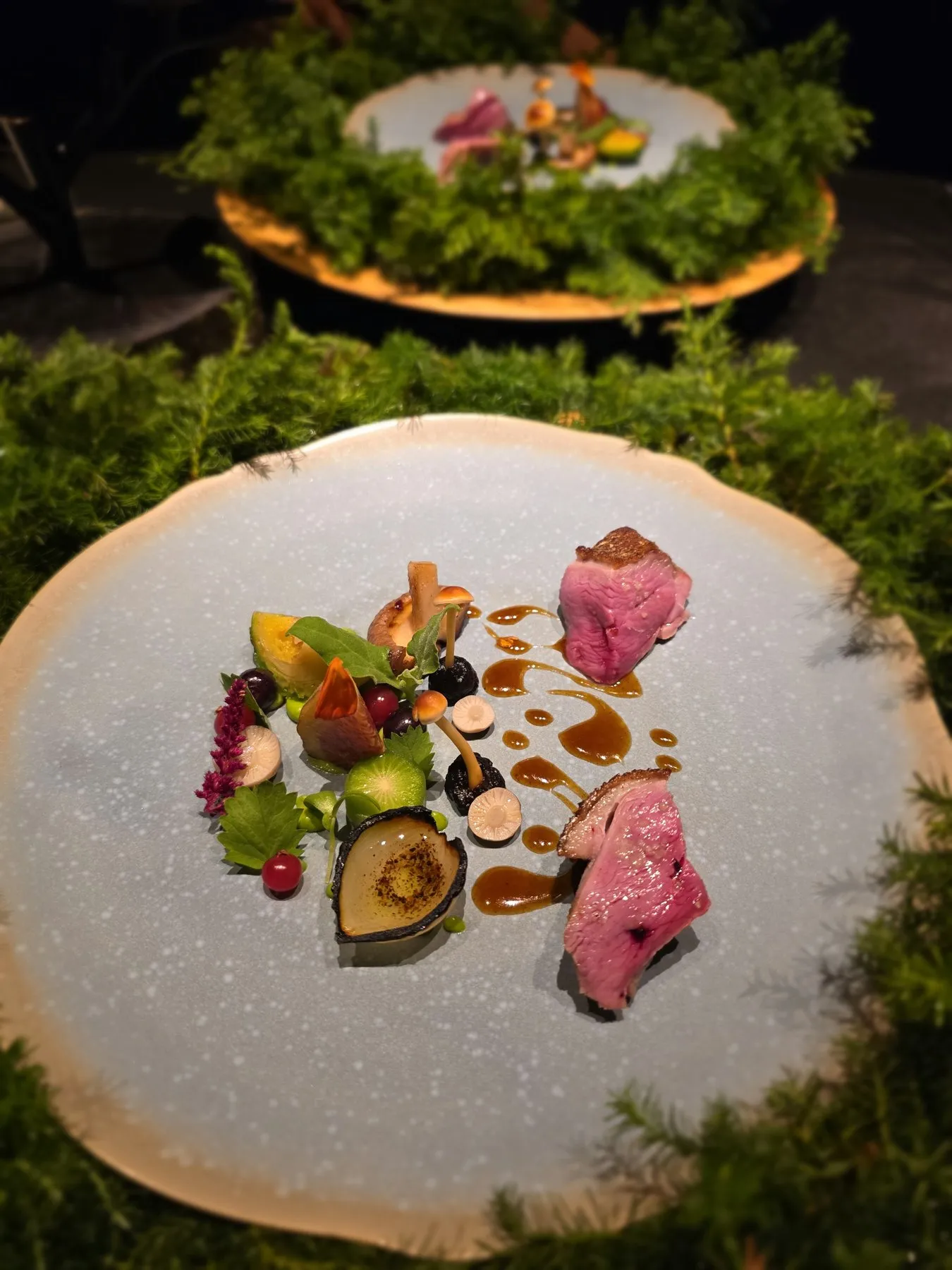 Duck plated on a stone slab surrounded by moss